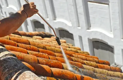 Nettoyage de toitures - Torcy